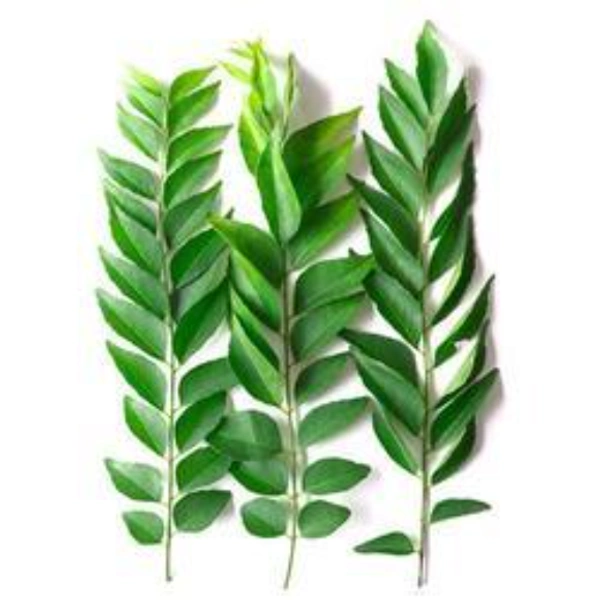 🟢 கறிவேப்பிலை / Curry Leaves ~70g