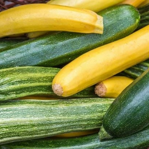 🔵 Zucchini ~500g