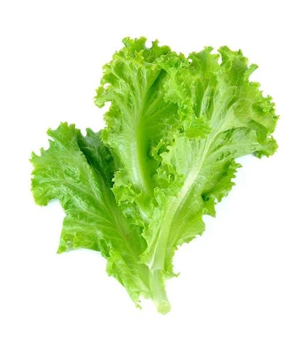 🔵  Lettuce ~300g