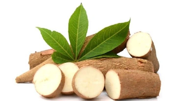 🔵 Maravalli Kilangu ~1kg