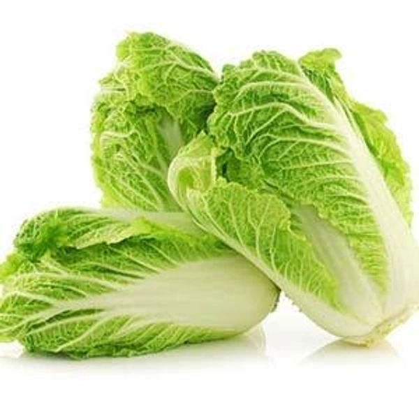 🔵 Chinese Cabbage  ~1kg
