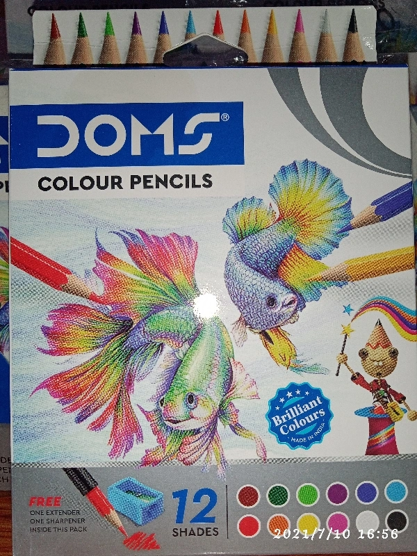 Doms Colour Pencil Holder