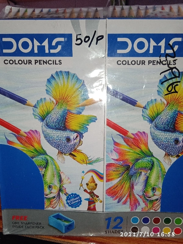 Doms Colour Pencil