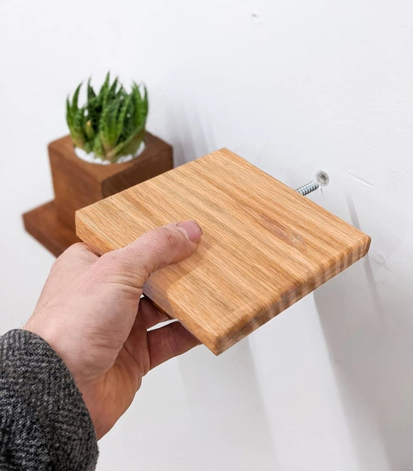 JAZLOG Wooden Floating Shelf by JAZLOG | Square Wood Shelf, Small Wall Decor Shelf, Wall Plant Holder, Speaker Shelf, Showcase (Pack of 02) - 6x6, Brown, 249 Gram