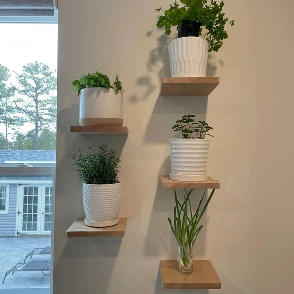 JAZLOG Wooden Floating Shelf by JAZLOG | Square Wood Shelf, Small Wall Decor Shelf, Wall Plant Holder, Speaker Shelf, Showcase (Pack of 02) - 6x6, Brown, 249 Gram