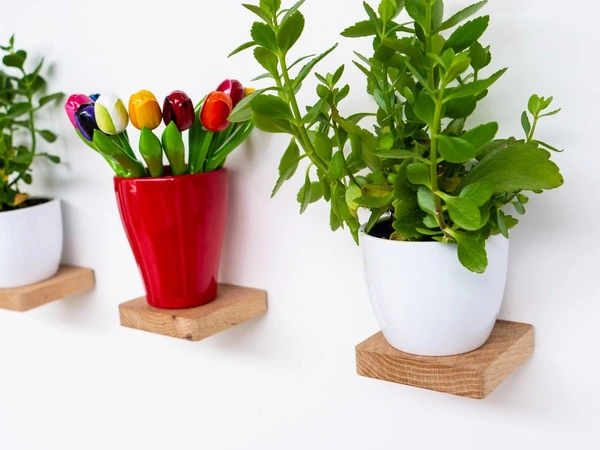 JAZLOG Wooden Floating Shelf by JAZLOG | Square Wood Shelf, Small Wall Decor Shelf, Wall Plant Holder, Speaker Shelf, Showcase (Pack of 02) - 6x6, Brown, 249 Gram