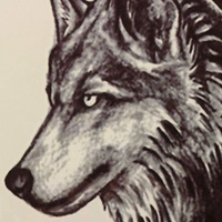 JAZLOG MAKNGRID Water Transfer Fake Tattoo Waterproof Temporary Tattoo Sticker Men Women Wolf Tattoo Flash Tattoo Fashion - M, Black, 249 Gram