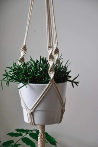 JAZLOG Hanging Planter For Indoor, Living Room, Balcony, GardeningDouble Macrame Stand HangerWall Flower Basket RopeHome Decor Ceiling Wall Hanging Vertical Garden [Without Pot] 39 inch, Pack of 01 - M, Off White, 249 Gram