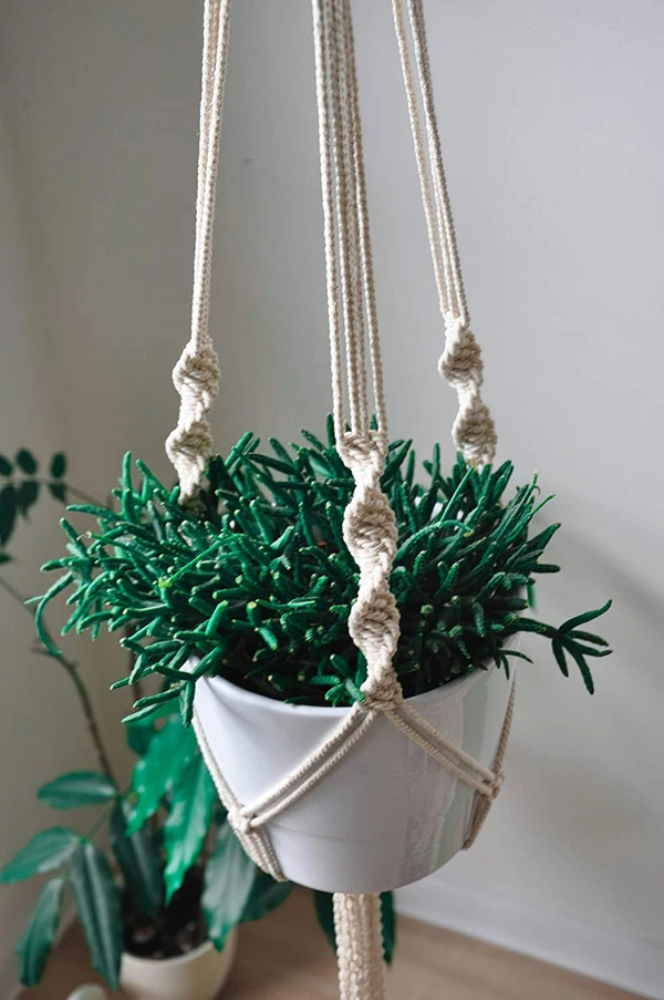JAZLOG Hanging Planter For Indoor, Living Room, Balcony, GardeningDouble Macrame Stand HangerWall Flower Basket RopeHome Decor Ceiling Wall Hanging Vertical Garden [Without Pot] 39 inch, Pack of 01 - M, Off White, 249 Gram