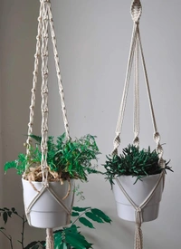 JAZLOG Hanging Planter For Indoor, Living Room, Balcony, GardeningDouble Macrame Stand HangerWall Flower Basket RopeHome Decor Ceiling Wall Hanging Vertical Garden [Without Pot] 39 inch, Pack of 01 - M, Off White, 249 Gram