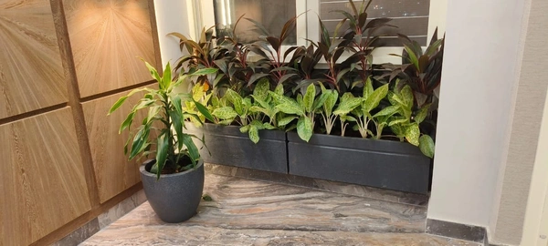 Ortho Nest & Vine Planter - L-20" , H-8" , W-8"