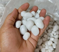 Polish White - 1Kg