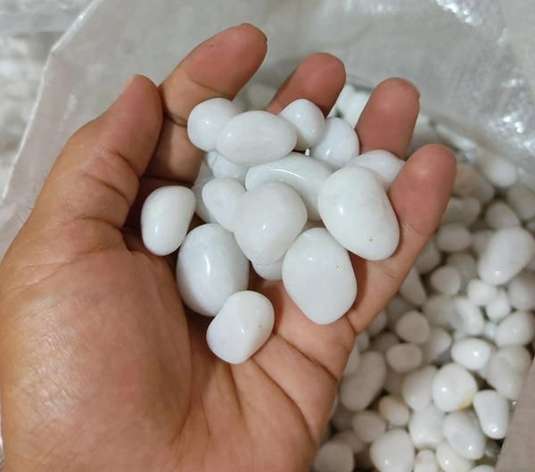 Polish White - 1Kg