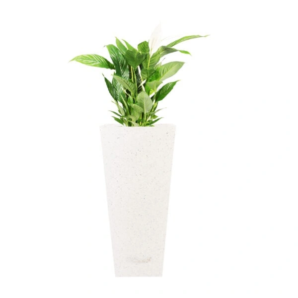 Makris 12" Nest & Vine Planter - H-12, W-12