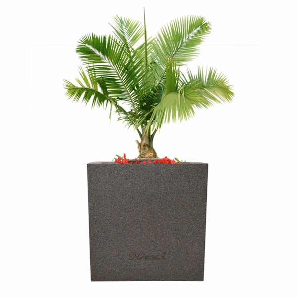 Kyvos 12" Nest & Vine Pot - H-12", W-12"