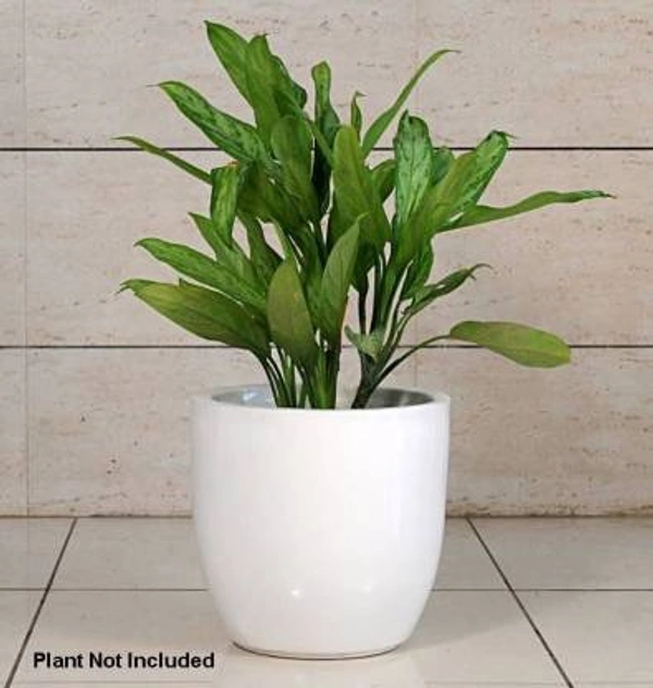 Round series FRP planter - H-12, W-12