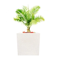 Kyvos 12" Nest & Vine Pot - H-12", W-12"