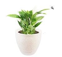 Convessa Nest & Vine Planter - H-10", W-10"