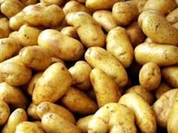 Potato (White Aalu )