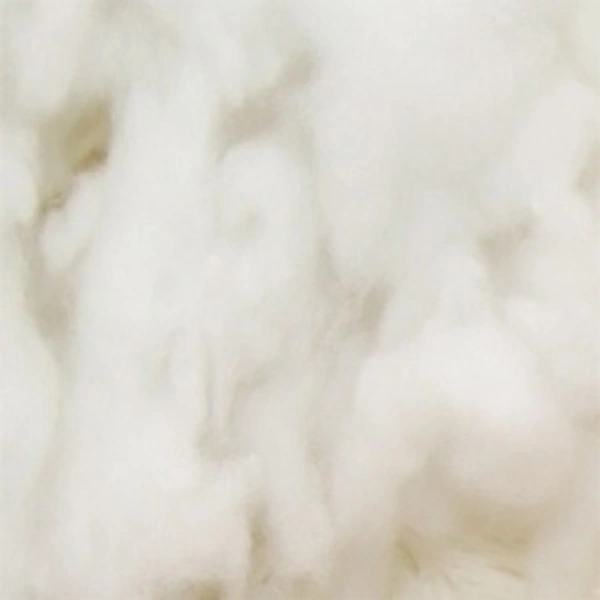 Cotton