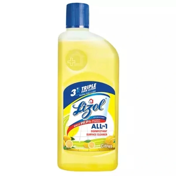 Lizol Triple Germ Action Floor Cleaner - 500gm