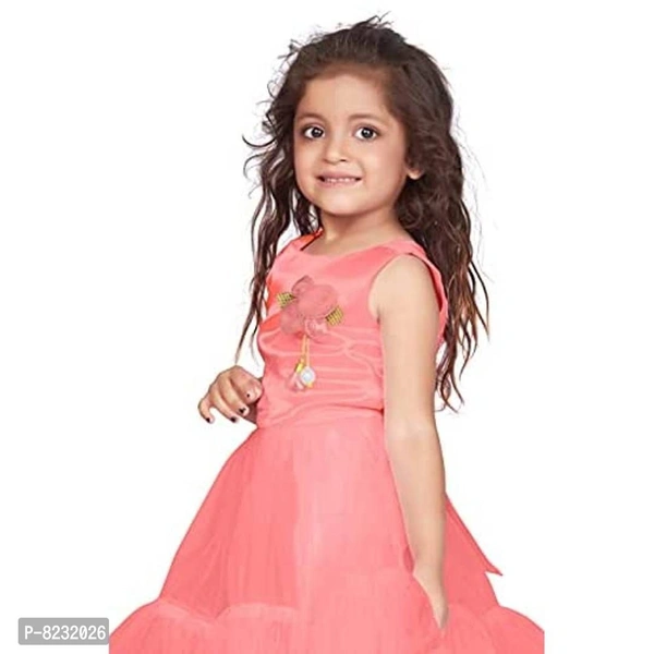 Fashion Dream Baby Girl?۪s Ruffle Hem Flower Applique Party Dress/Frock - P-8232026, 9886446, 5-6years