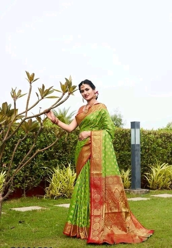 FABULOUS BANARASI SILK ZARI WORK SAREE