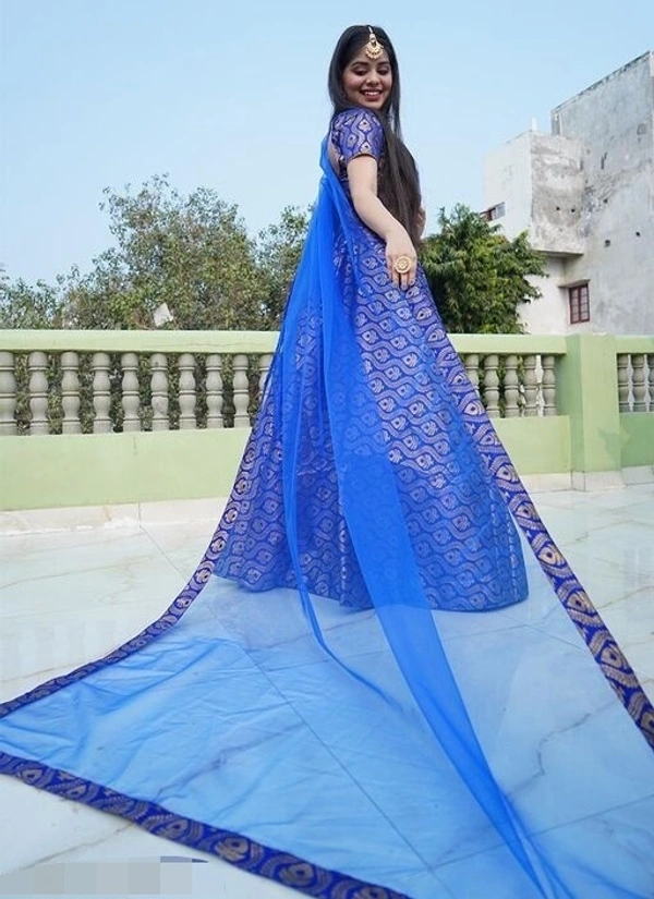 Blue-Gold Partywear Woven Zari Banarasi Jacquard Lehenga Choli