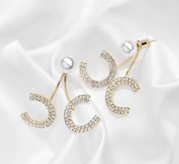 Arzonai Double C earrings 2022 new trendy micro-inlaid cold wind earrings female 925 sterling silver needle full diamond Korean earrings