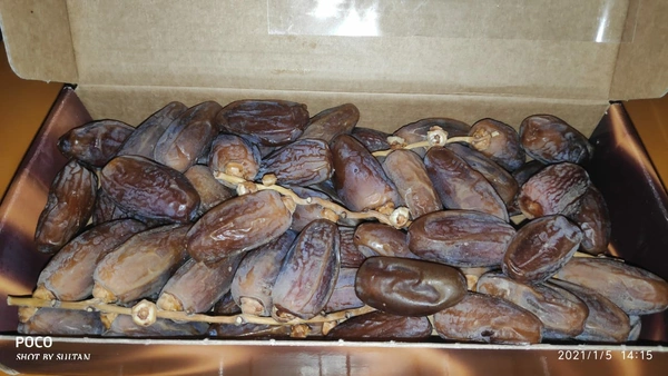 DEGLET NOUR DATES 