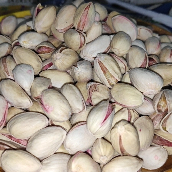 IRANI SALTED 