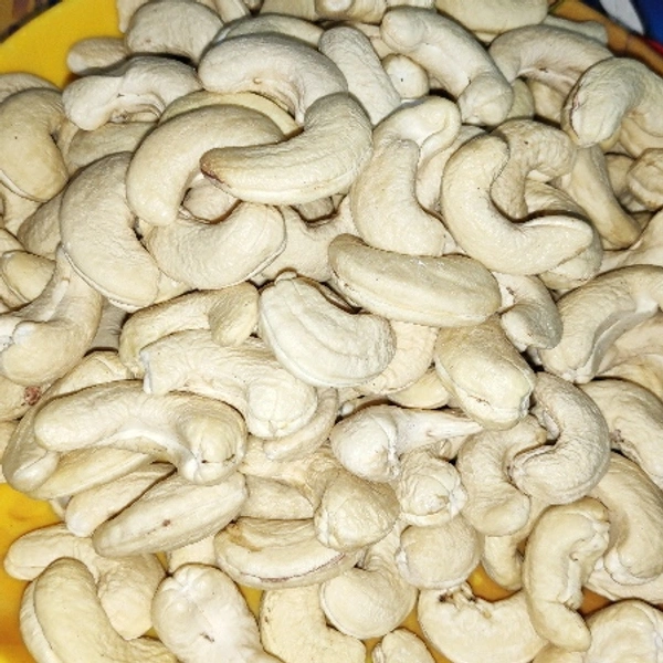 KAJU JUMBO