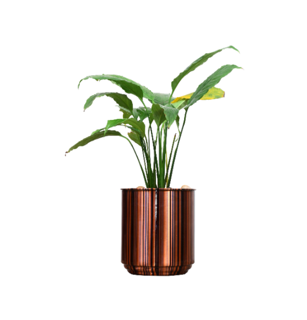  Air Purifying NASA OXYGEN COPPER PLANTER Stripe Printed (Without Plant)