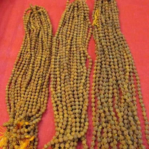 Rudraksha Kanthi Mala