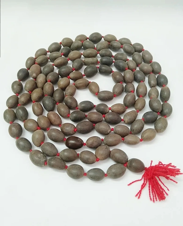Kamal Gatta Mala