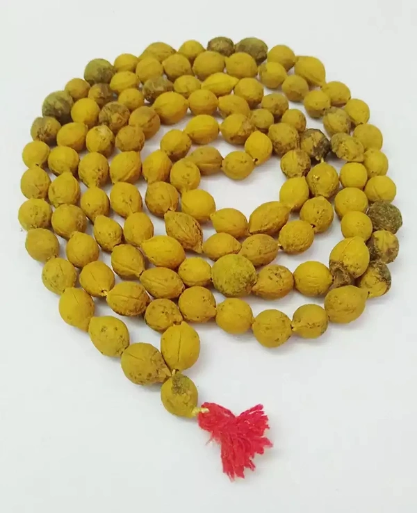 Putra Jeeva Mala