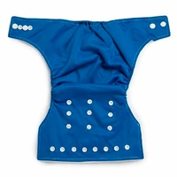 Reusable Cloth Diaper