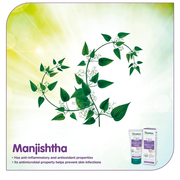 Himalaya Herbal Diaper Rash Cream - 20 gm
