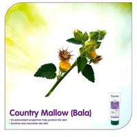 Himalaya Harbal Baby Cream  - 50 ml