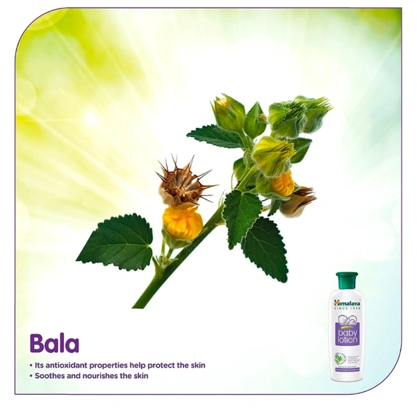 Himalaya Harbal Baby Lotion - 400 ml