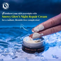 Snowy Glow Night Repair Brightening Cream Regular - 