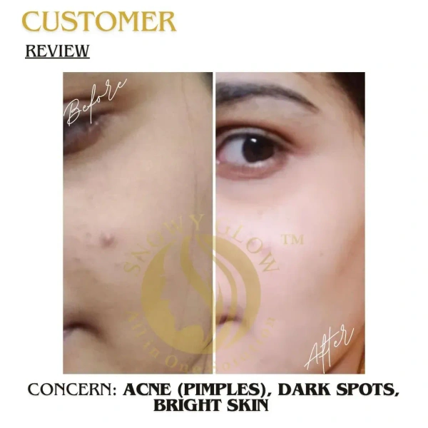 Snowy Glow Night Repair Brightening Cream Regular - 