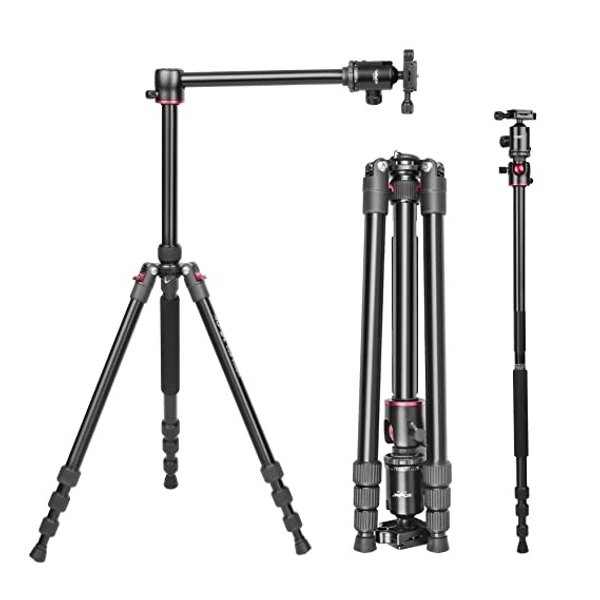 Digitek DTR 520 BH (60 Inch) Professional Aluminum Tripod Cum Monopod With Swivel Pan Head, For DSLR Camera | Maximum Operating Height: 4.95 Feet | Maximum Load Upto: 7kgs (Black) (DTR 520 BH) - 1510mm (4.95 ft)