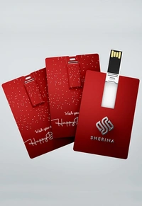 32gb Plastic (10pcspack ) Multicolor Visiting & Credit Card Shape Pen Drive - 4 GB 8gb,16gb, 32gb, 64gb