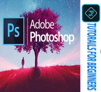 Learn Adobe Photoshop In Hindi - 4GB