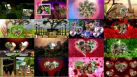 EDIUS Drag And Drop Indian Wedding 3D-fx 2000+ fx   - 80gb