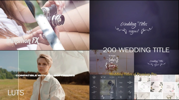 ultra tranjaction fx & title with luts pack 2024