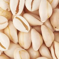 50pcs White Natural Spiral Shell Beads, Sea Shells, Beach Spacer Beads, Charms, Cowrie Shells Loose Beads for DIY Earring Bracelet, Necklace Jewelry Making