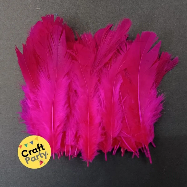 Pink Feathers - Pack Of 80pcs