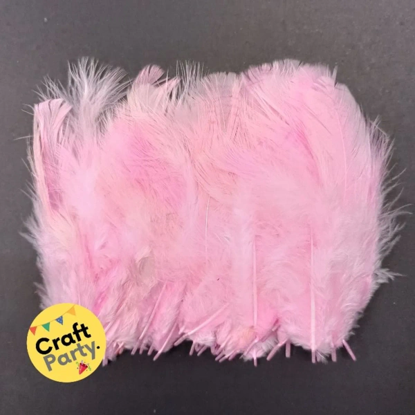 Light Pink Feathers - Pack Of 80pcs
